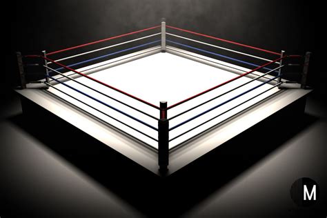 average boxing ring size|professional boxing ring dimensions.